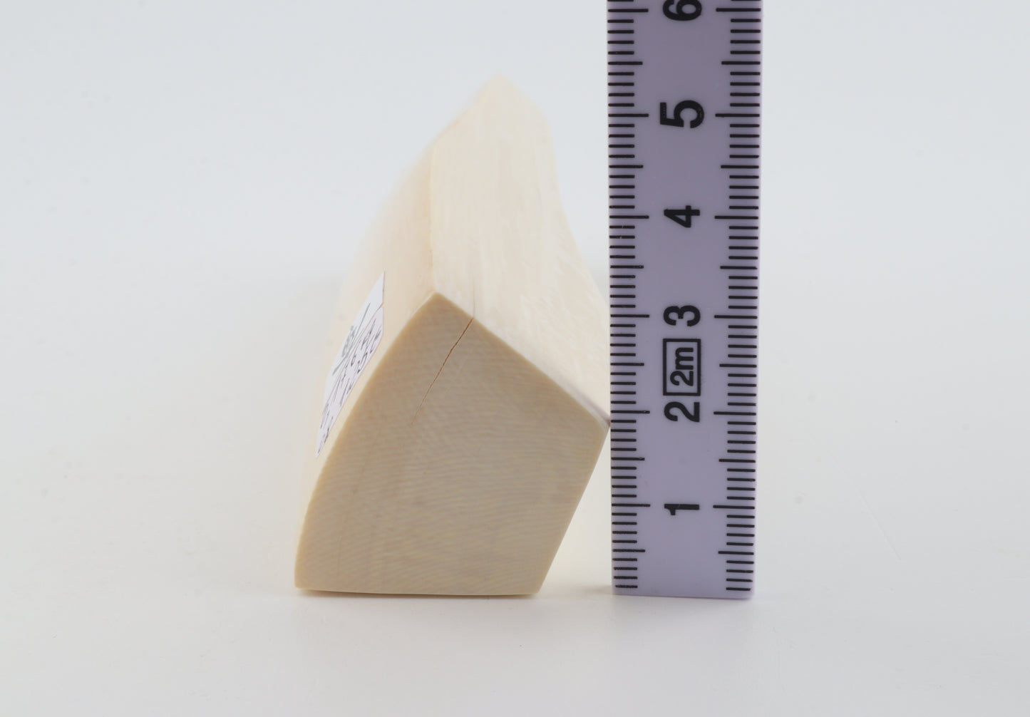 White mammoth ivory segment