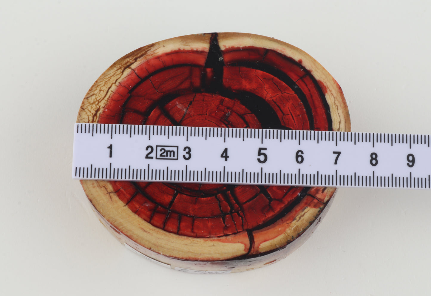 Stabilised mammoth ivory block