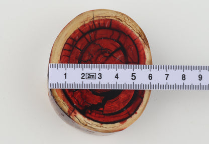 Stabilised mammoth ivory block