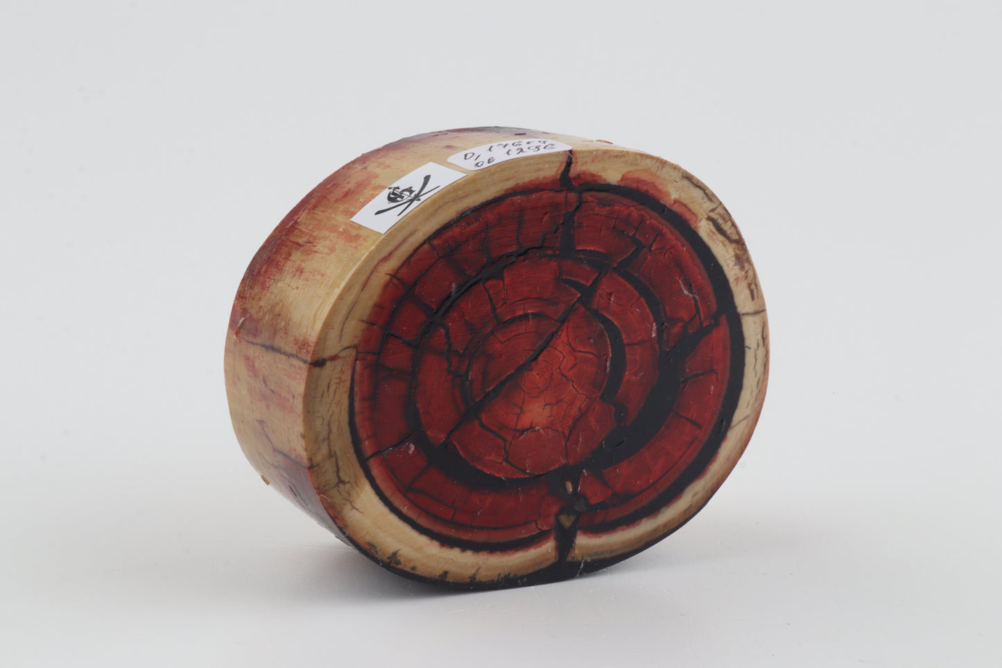 Stabilised mammoth ivory block