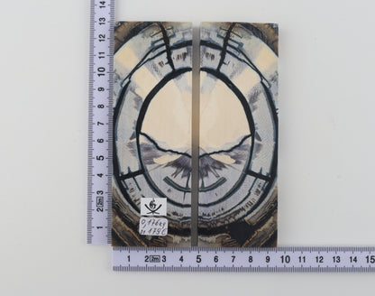 Stabilised mammoth ivory scales