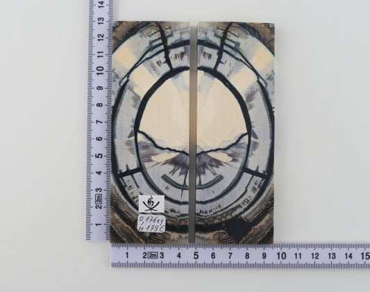 Stabilised mammoth ivory scales