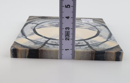 Stabilised mammoth ivory scales