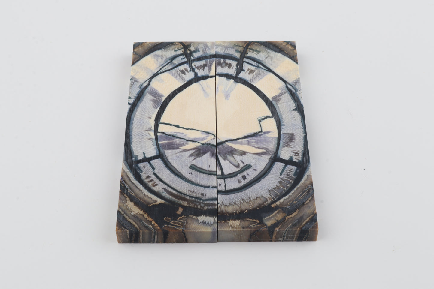 Stabilised mammoth ivory scales