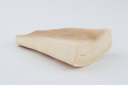 Natural mammoth ivory piece