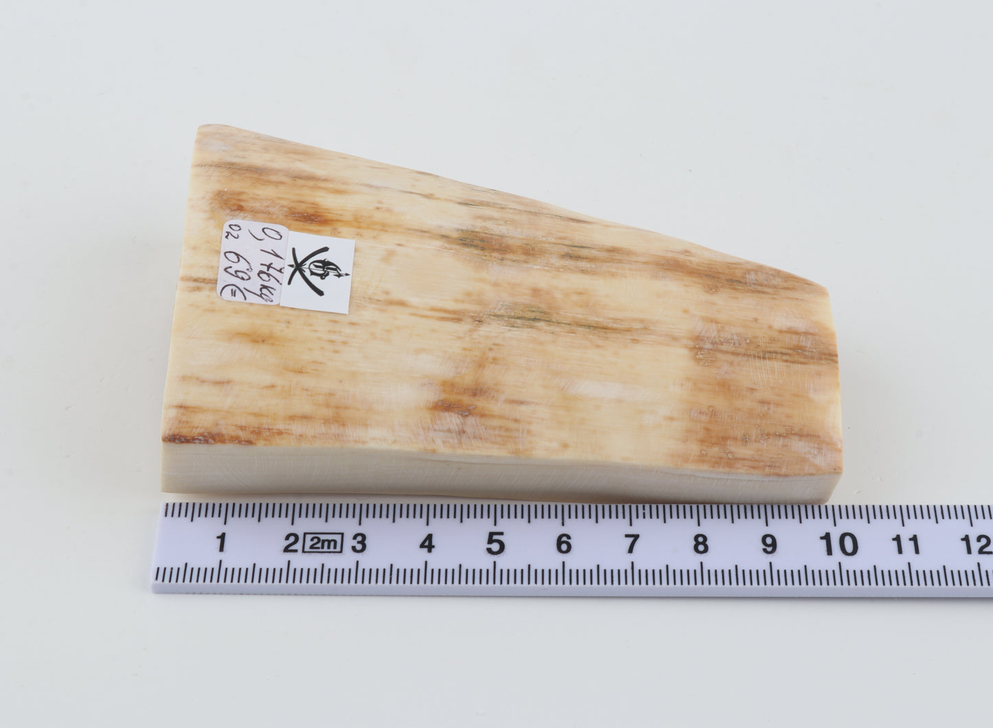 Natural mammoth ivory piece