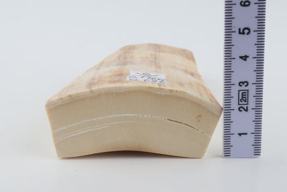 Natural mammoth ivory piece