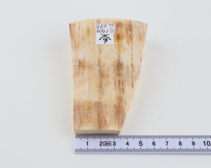 Natural mammoth ivory piece