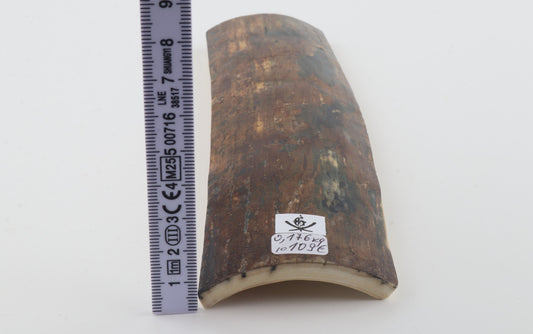 Natural woolly mammoth bark