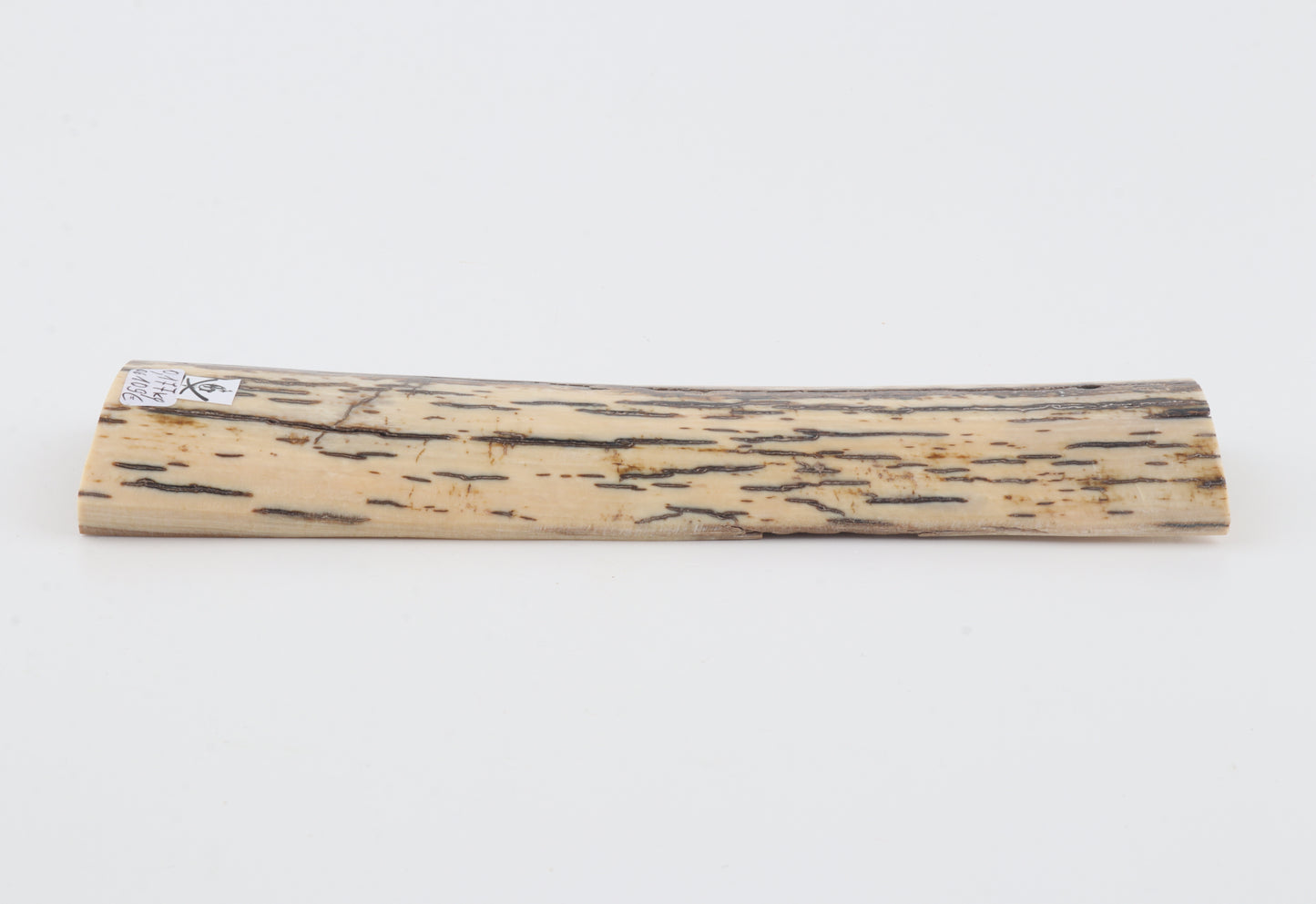 White-brown mammoth bark
