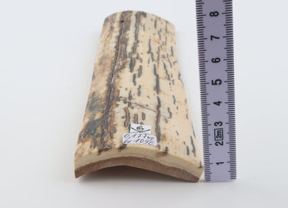 White-brown mammoth bark