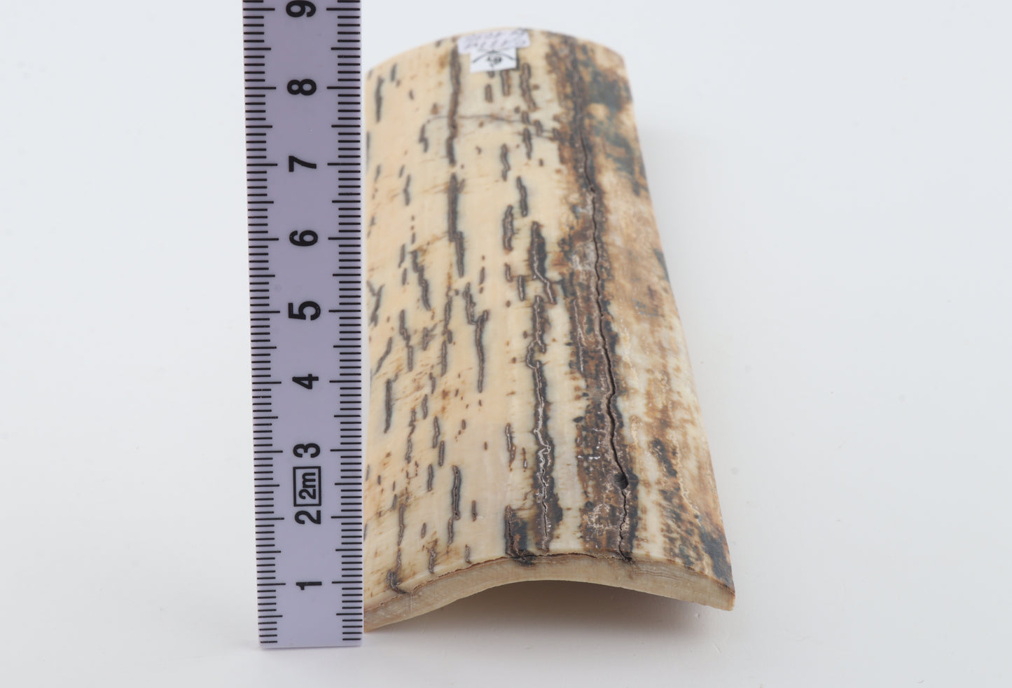 White-brown mammoth bark