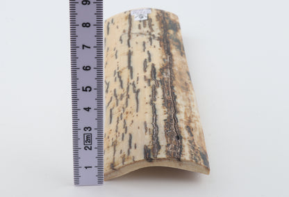 White-brown mammoth bark