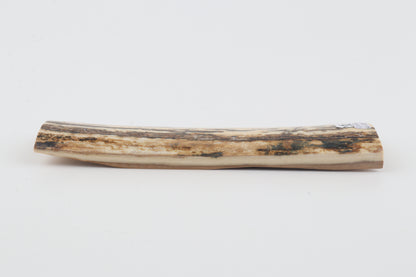 White-brown mammoth bark