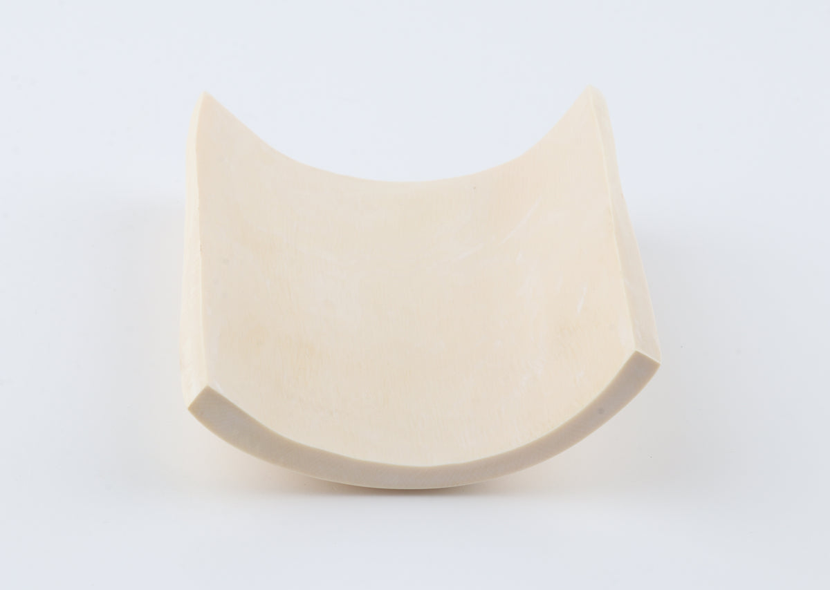 White mammoth ivory segment