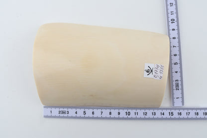White mammoth ivory segment