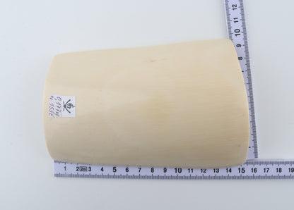 White mammoth ivory segment