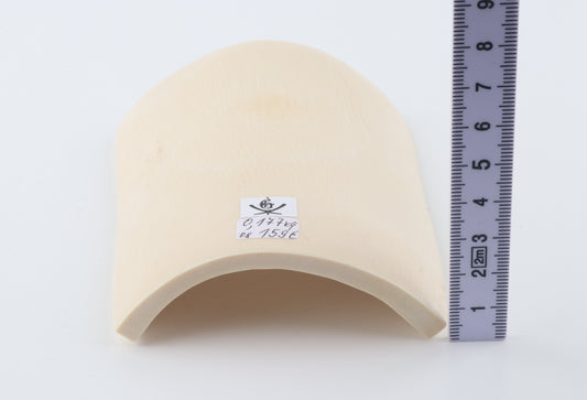 White mammoth ivory segment