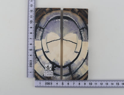 Stabilised mammoth ivory scales