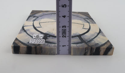 Stabilised mammoth ivory scales