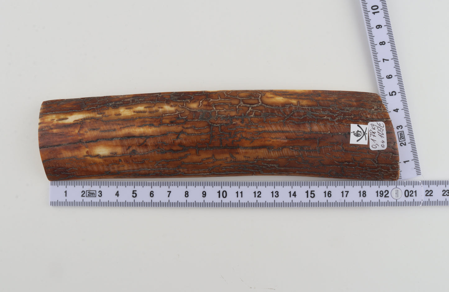 Brown-caramel mammoth bark