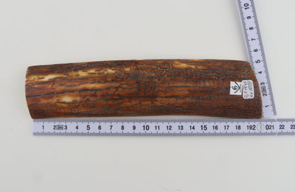 Brown-caramel mammoth bark