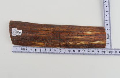 Brown-caramel mammoth bark