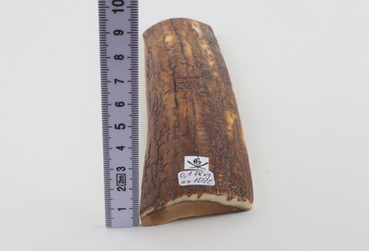Brown-caramel mammoth bark
