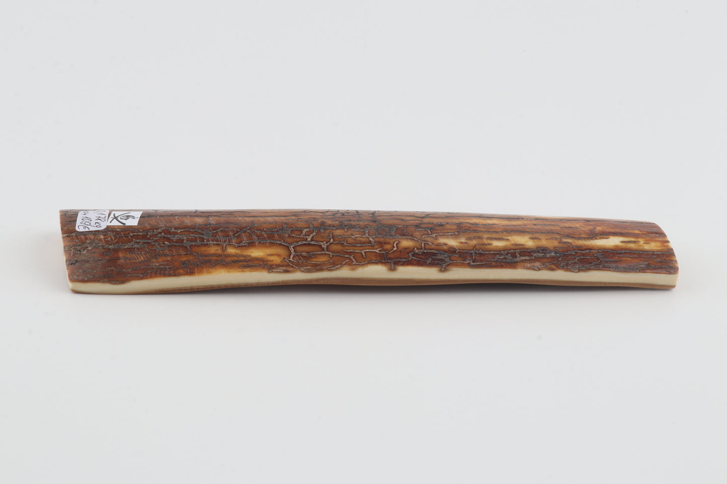 Brown-caramel mammoth bark