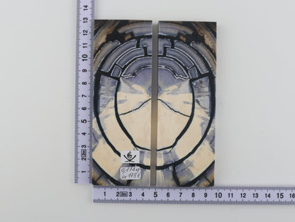 Stabilised mammoth ivory scales