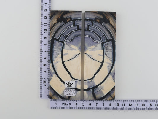 Stabilised mammoth ivory scales