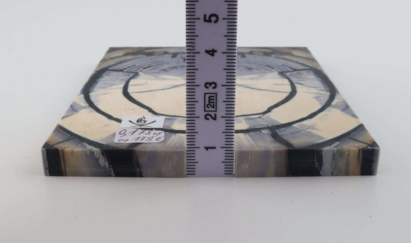 Stabilised mammoth ivory scales