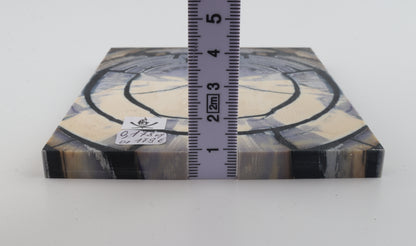 Stabilised mammoth ivory scales