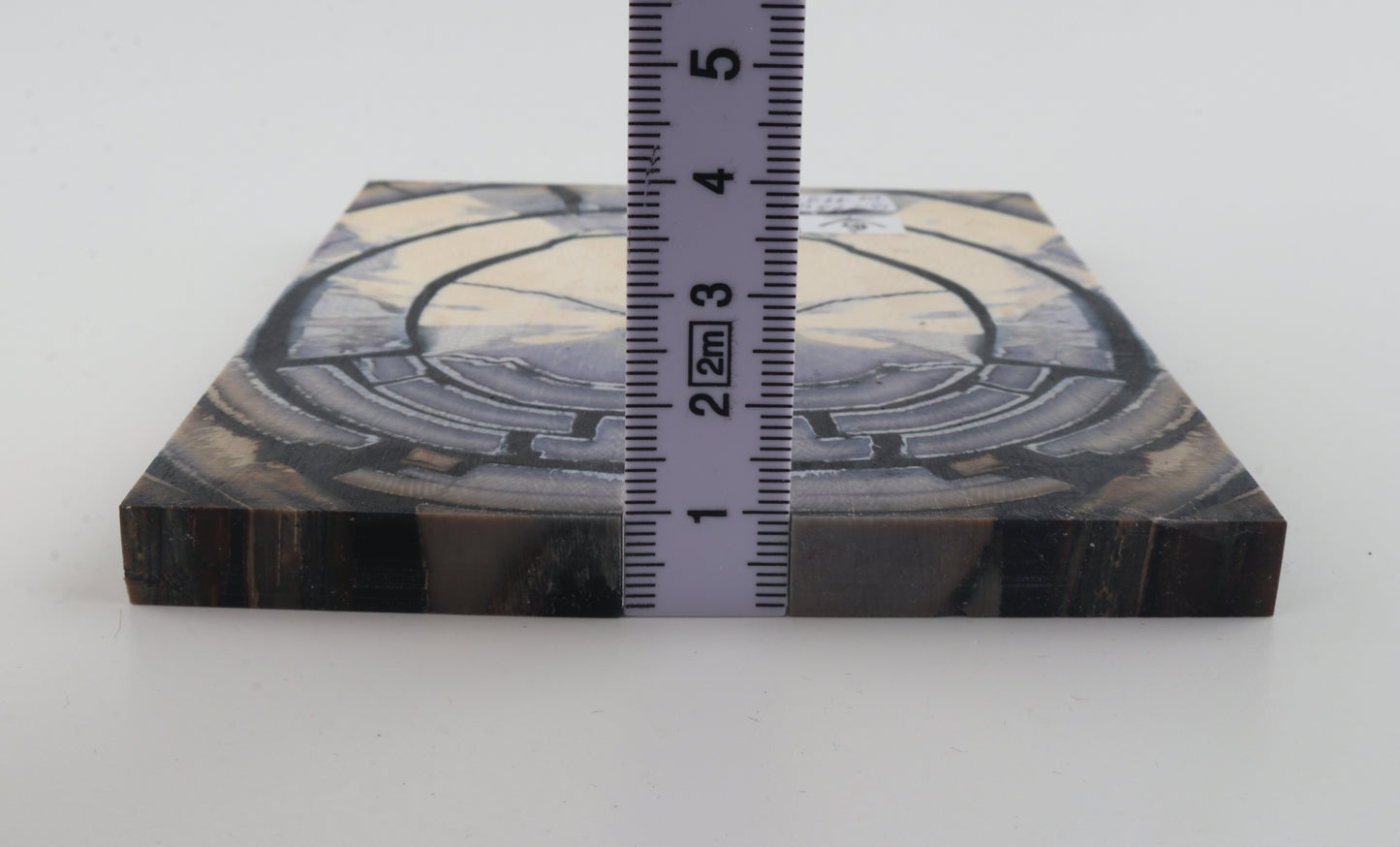 Stabilised mammoth ivory scales