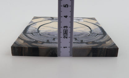 Stabilised mammoth ivory scales