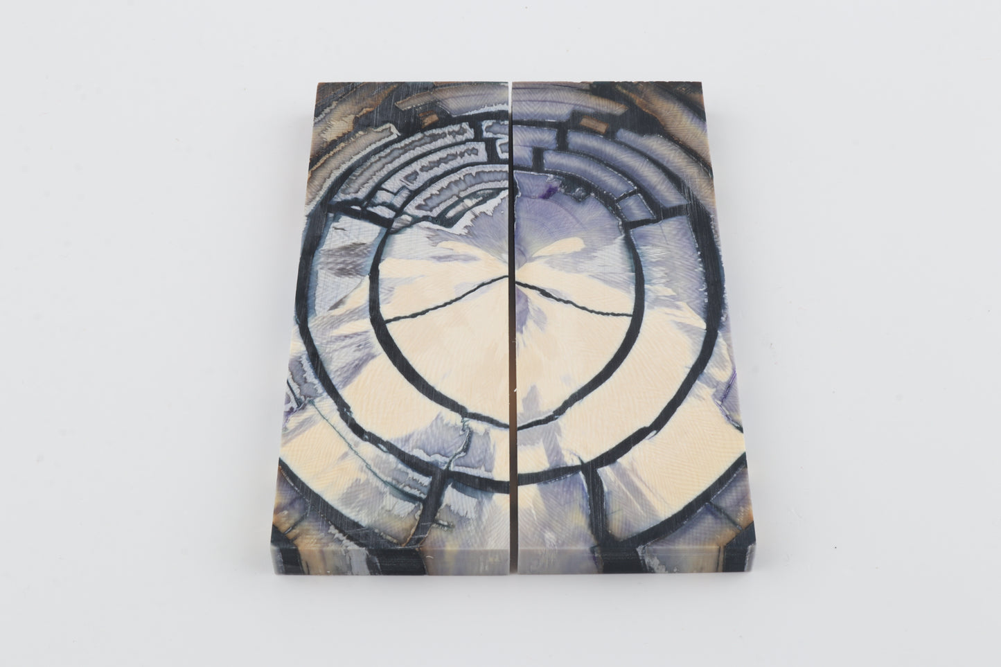 Stabilised mammoth ivory scales