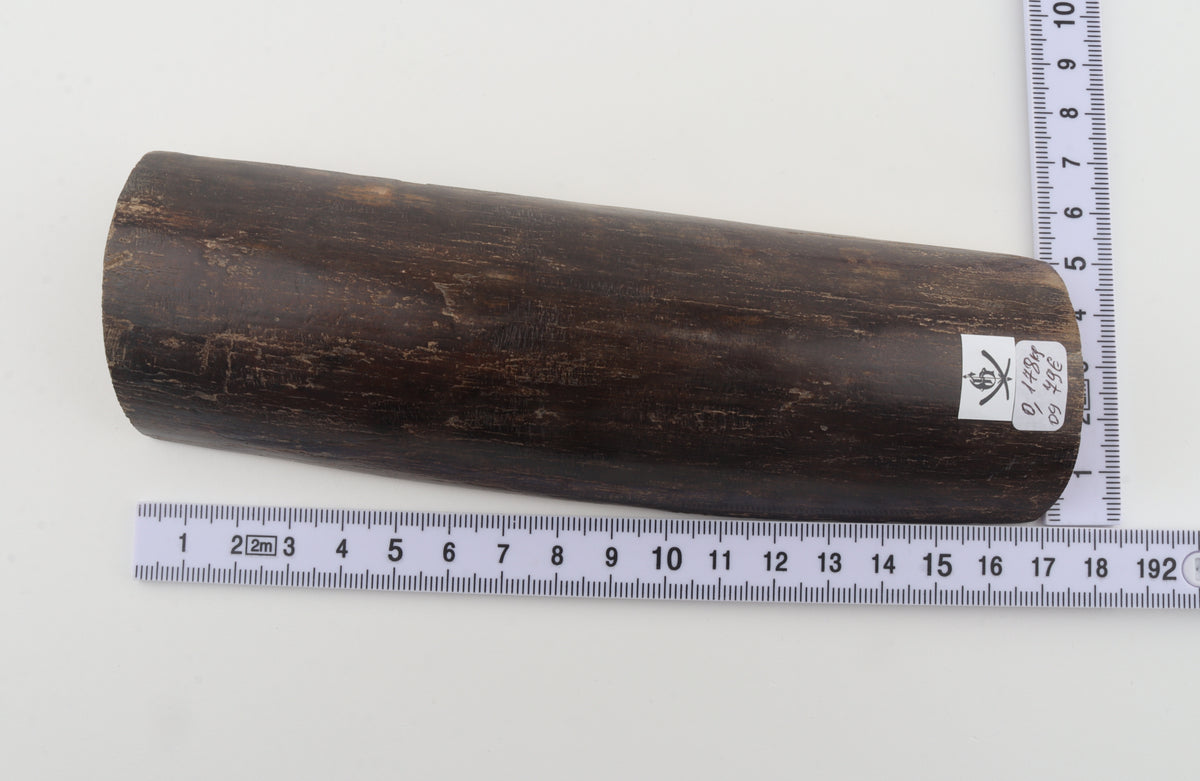 Brown mammoth bark