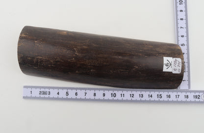Brown mammoth bark