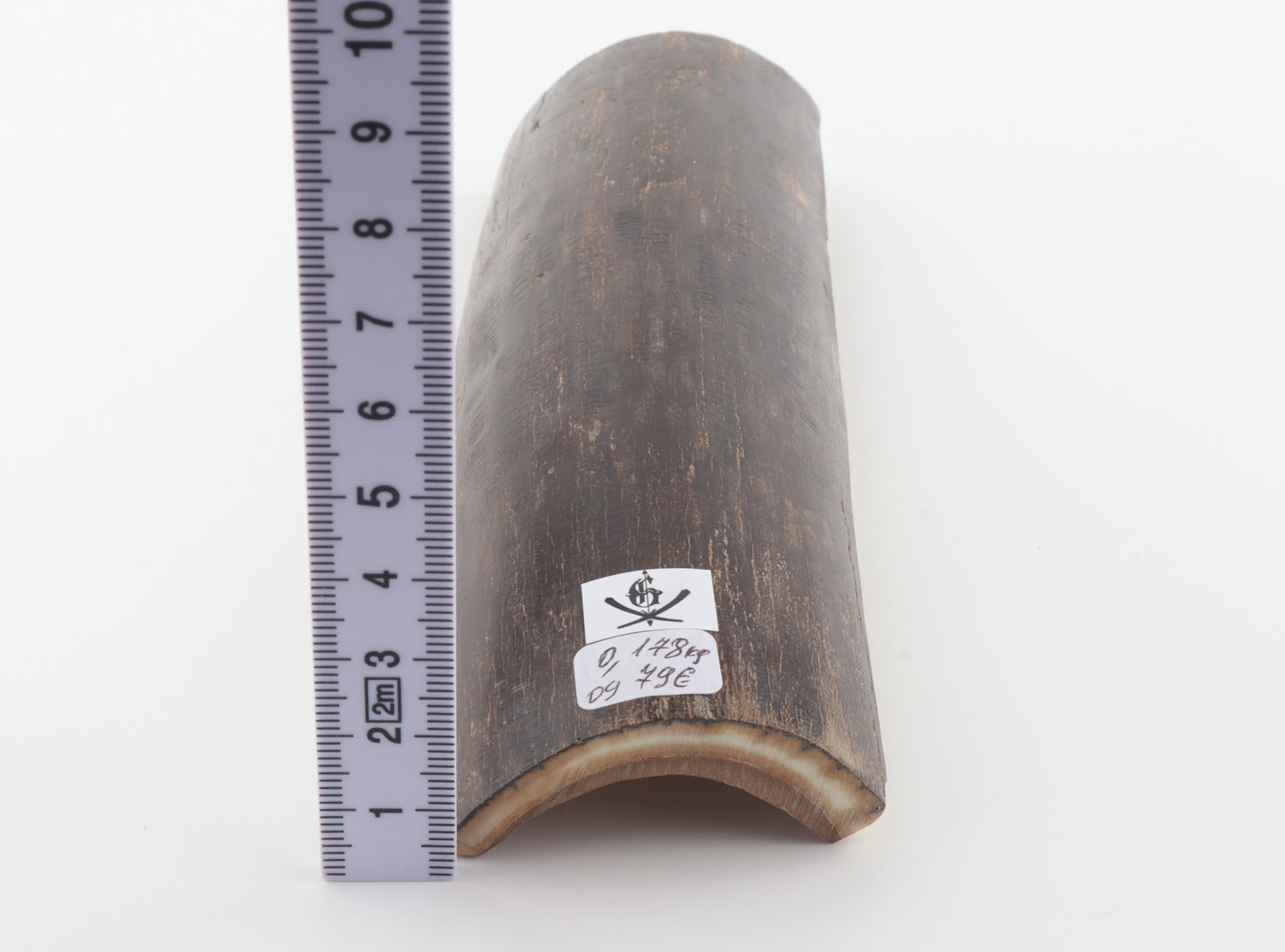 Brown mammoth bark