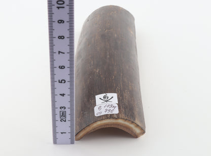 Brown mammoth bark