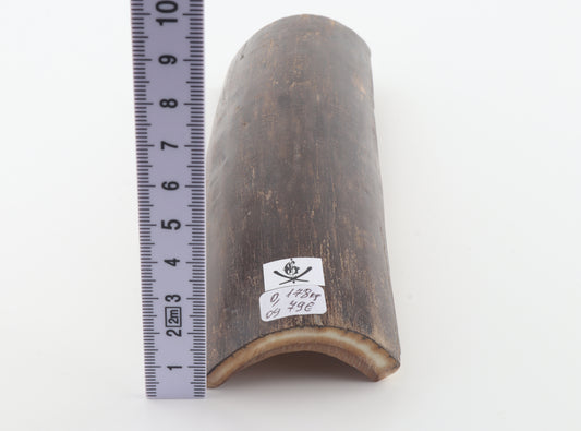Brown mammoth bark