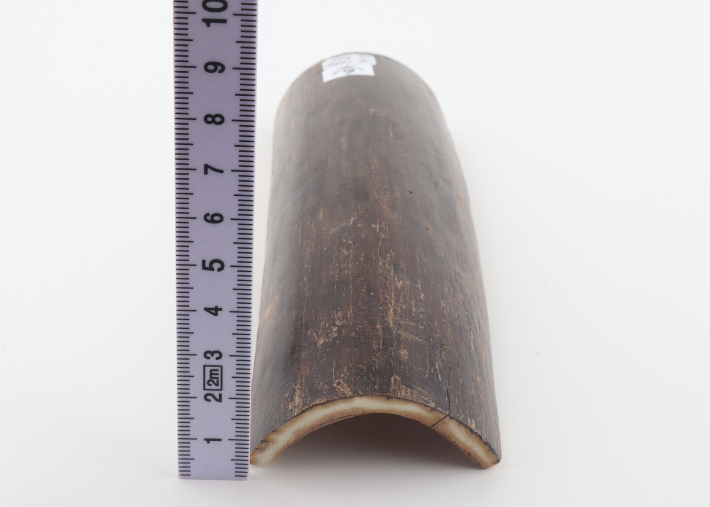 Brown mammoth bark