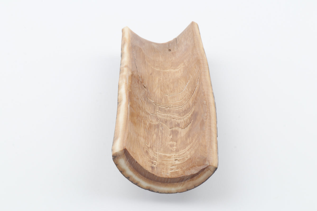 Brown mammoth bark