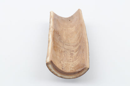 Brown mammoth bark