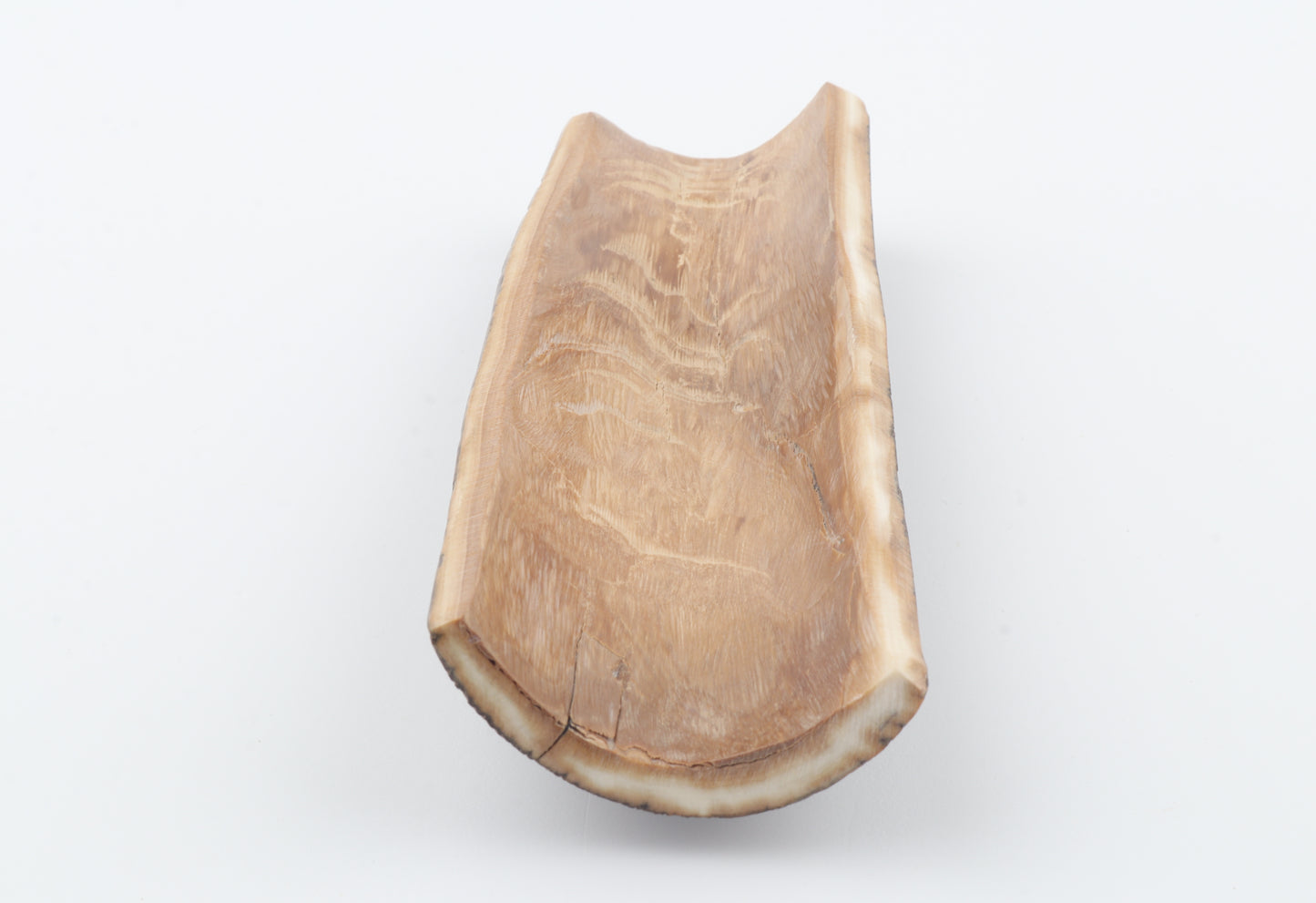 Brown mammoth bark