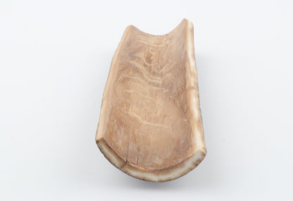 Brown mammoth bark