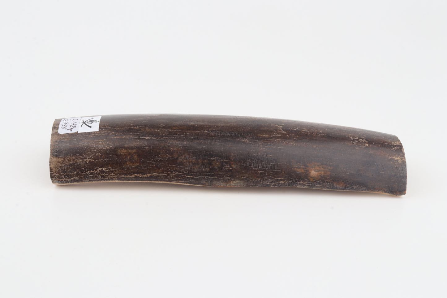 Brown mammoth bark