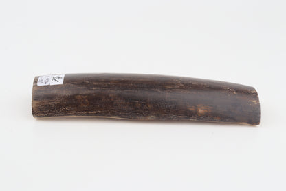 Brown mammoth bark