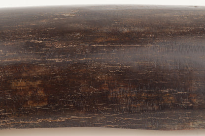 Brown mammoth bark