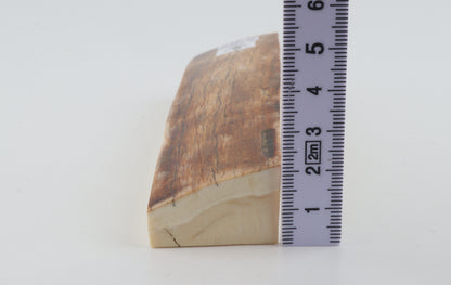 Natural woolly mammoth ivory piece